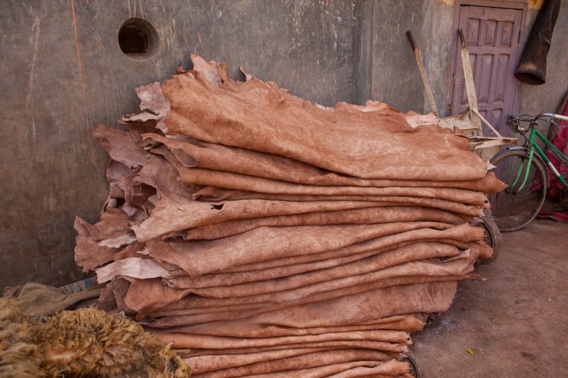 7 Steps On How To Tan A Hide