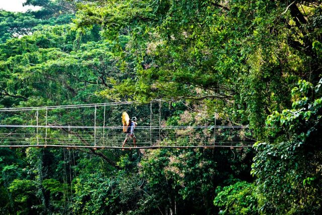 jungle travel vodici