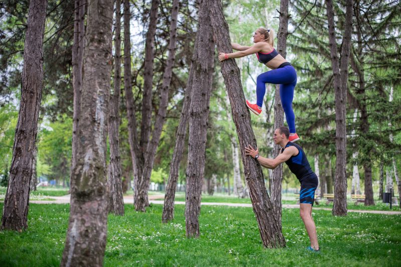 How to Climb a Tree Safely Coming Down is the Hard Bit