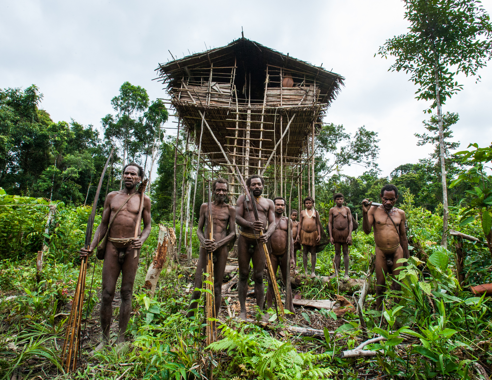 Korowai tribe photos