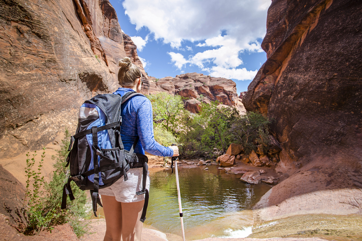 Backpacking картинки